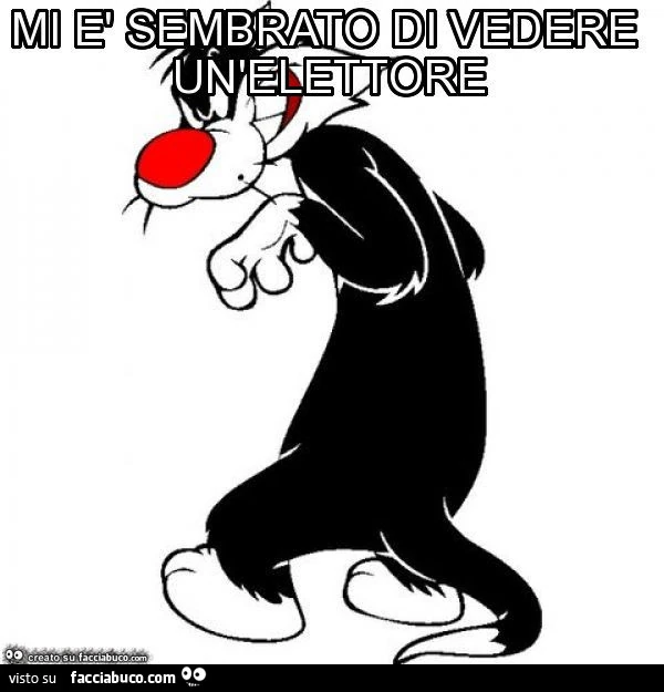 Mi è sembrato di vedere un'elettore