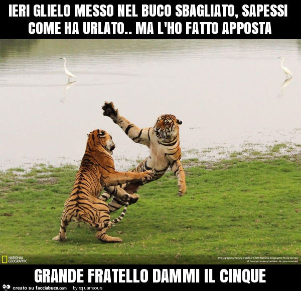 Ieri glielo messo nel buco sbagliato, sapessi come ha urlato. Ma l'ho fatto apposta grande fratello dammi il cinque