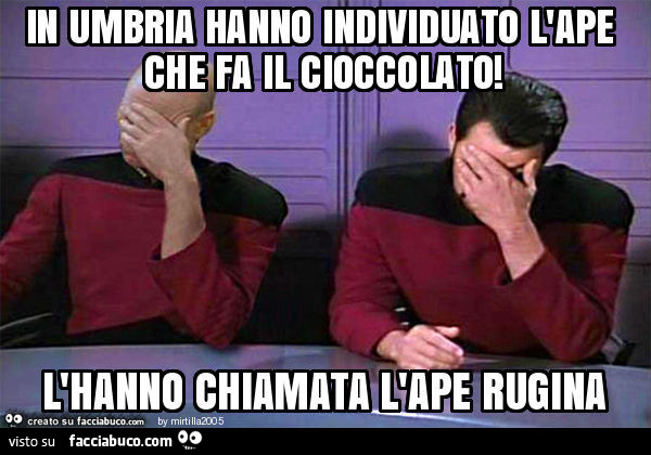 In umbria hanno individuato l'ape che fa il cioccolato! L'hanno chiamata l'ape rugina