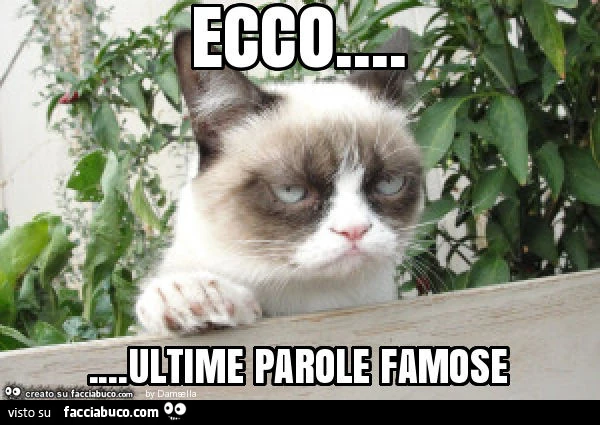 Ecco&hellip; ultime parole famose