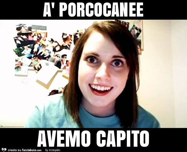 À porcocanee avemo capito