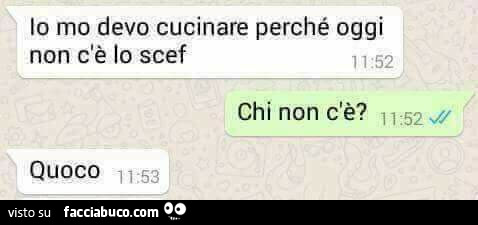 Io mo devo cucinare perché oggi non c'è lo scef. Chi non c'è? Quoco