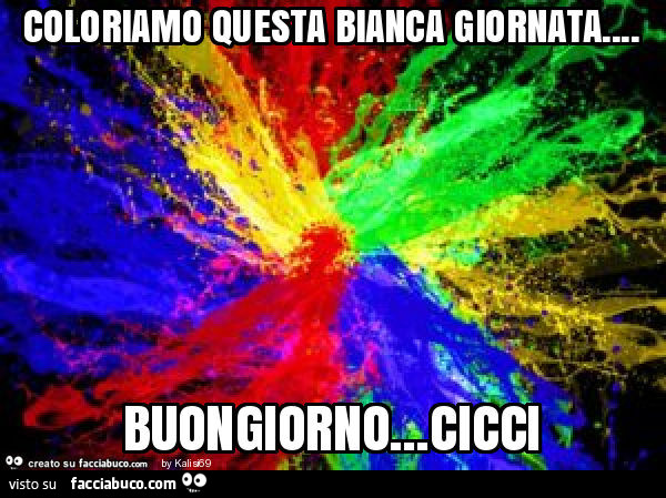 Coloriamo questa bianca giornata… buongiorno… cicci