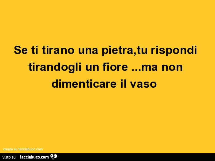 Se ti tirano una pietra, tu rispondi tirandogli un fiore&hellip; ma non dimenticare il vaso
