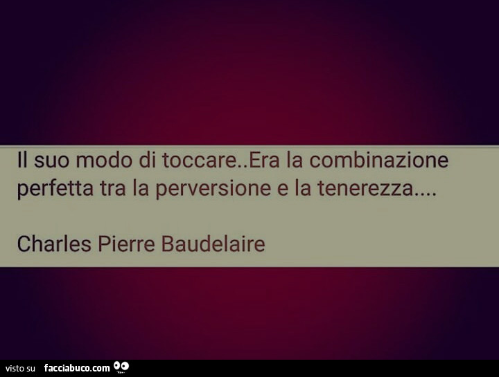 Il suo modo di toccare era la combinazione perfetta tra la perversione e la tenerezza… Charles Pierre Baudelaire