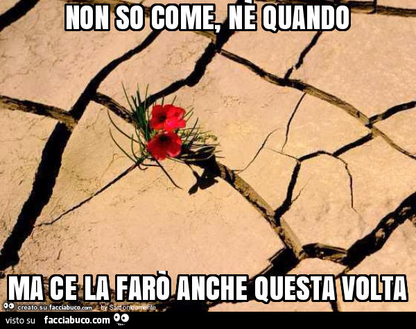 Non so come, nè quando ma ce la farò anche questa volta