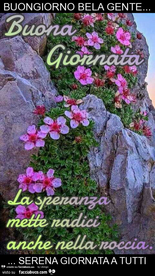 Buongiorno Bela Gente Serena Giornata A Tutti Facciabuco Com