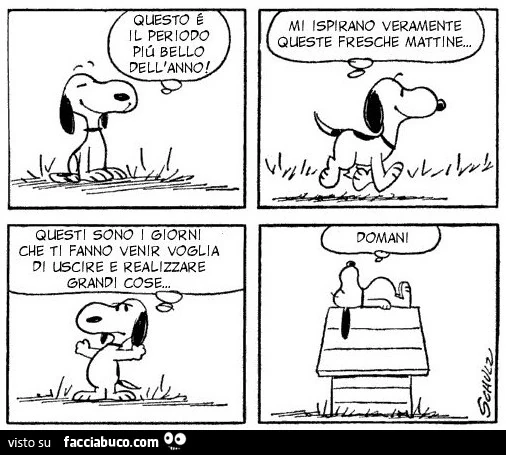 Questo è il periodo più bello dell'anno! Mi ispirano veramente queste fresche mattine