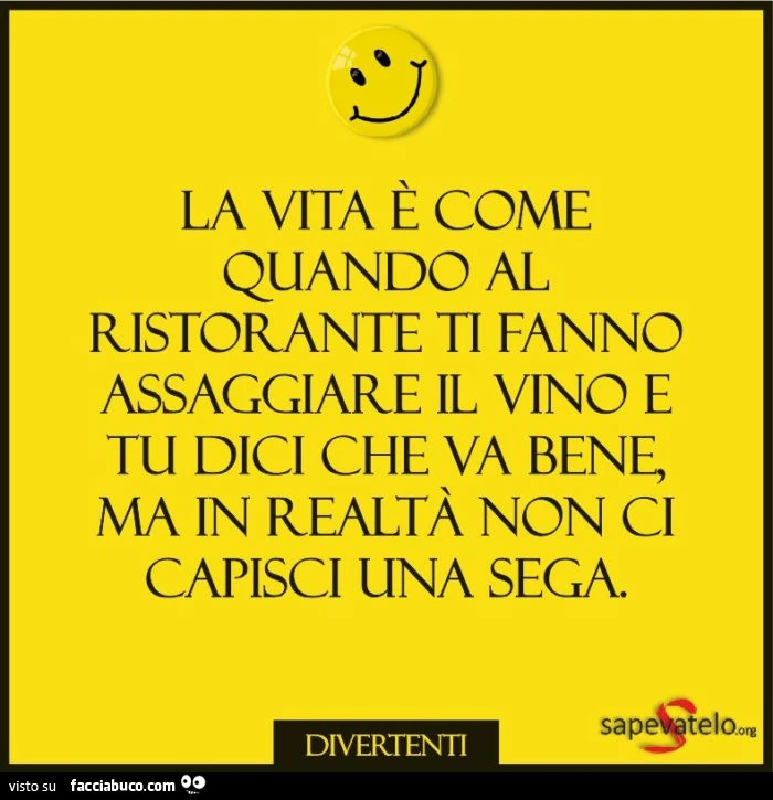 La vita è come quando al ristorante ti fanno assaggiare il vino e tu dici che va bene, ma in realtà non ci capisci una sega