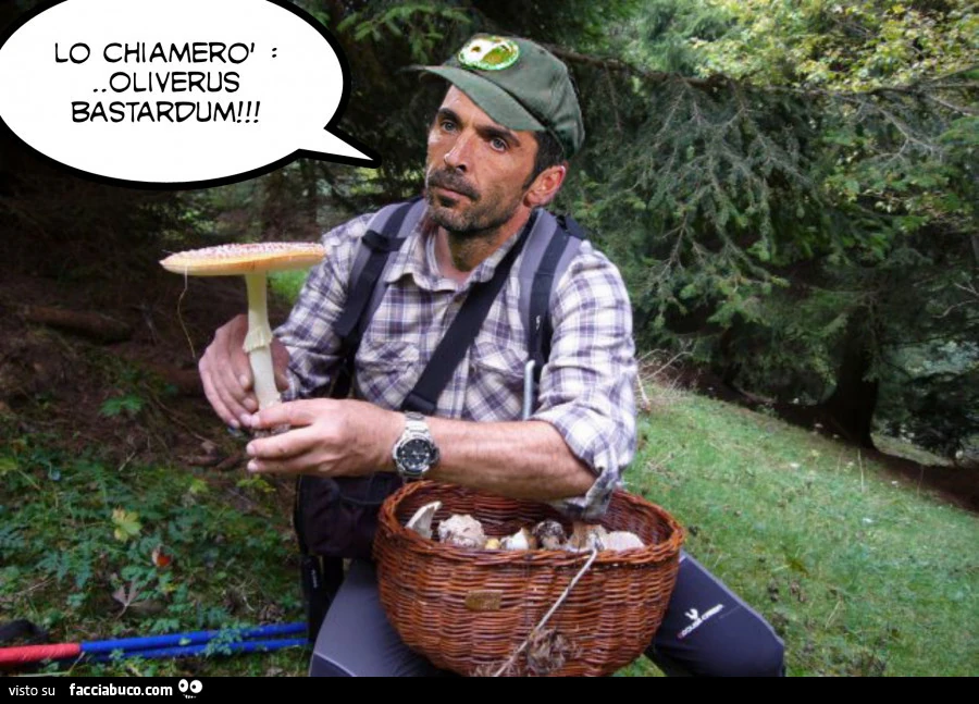 Buffon dopo madrid