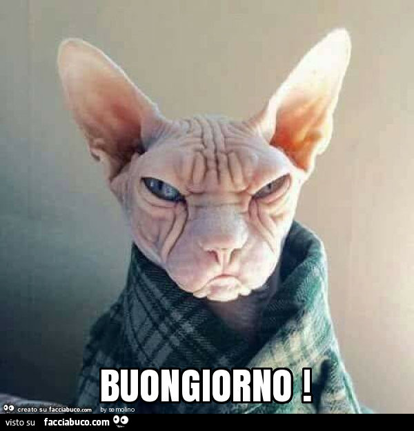 Buongiorno