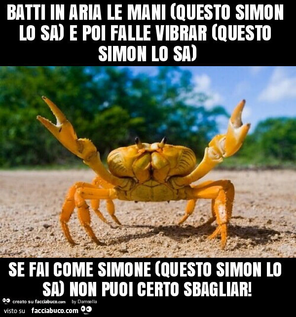 Batti in aria le mani (questo simon lo sa) e poi falle vibrar (questo simon lo sa) se fai come simone (questo simon lo sa) non puoi certo sbagliar