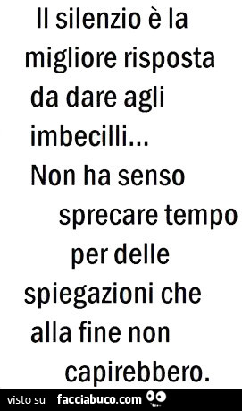 Il silenzio è la migliore risposta da dare agli imbecilli… non ha senso sprecare tempo per delle spiegazioni che alla fine non capirebbero