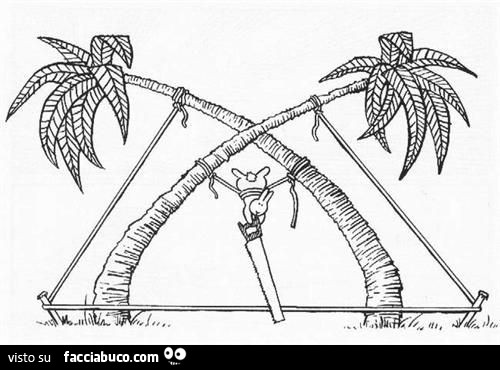 Coniglietto legato alle palme con una sega