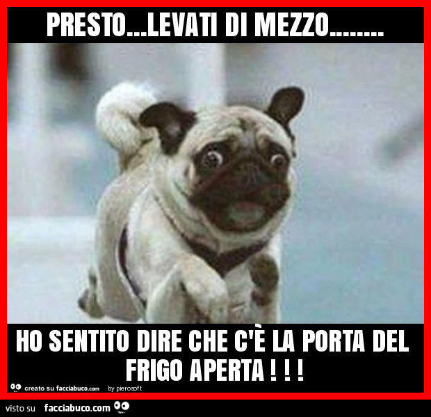 Presto… levati di mezzo… ho sentito dire che c'è la porta del frigo aperta