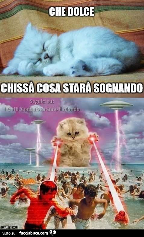 Che dolce, chissà cosa starà sognando