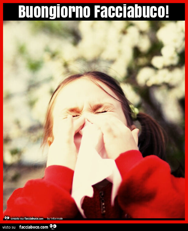 Buongiorno facciabuco