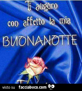 Ti auguro con affetto la mia buonanotte - Facciabuco.com