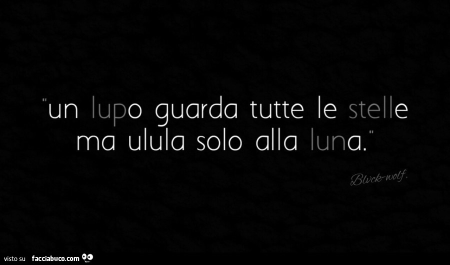 Un lupo guarda tutte le stelle ma ulula solo alla luna