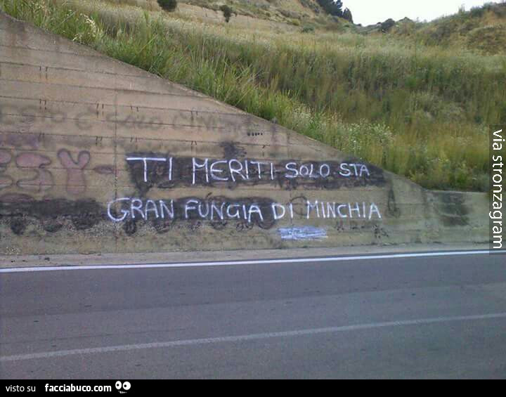 Ti meriti solo sta gran fungia di minchia