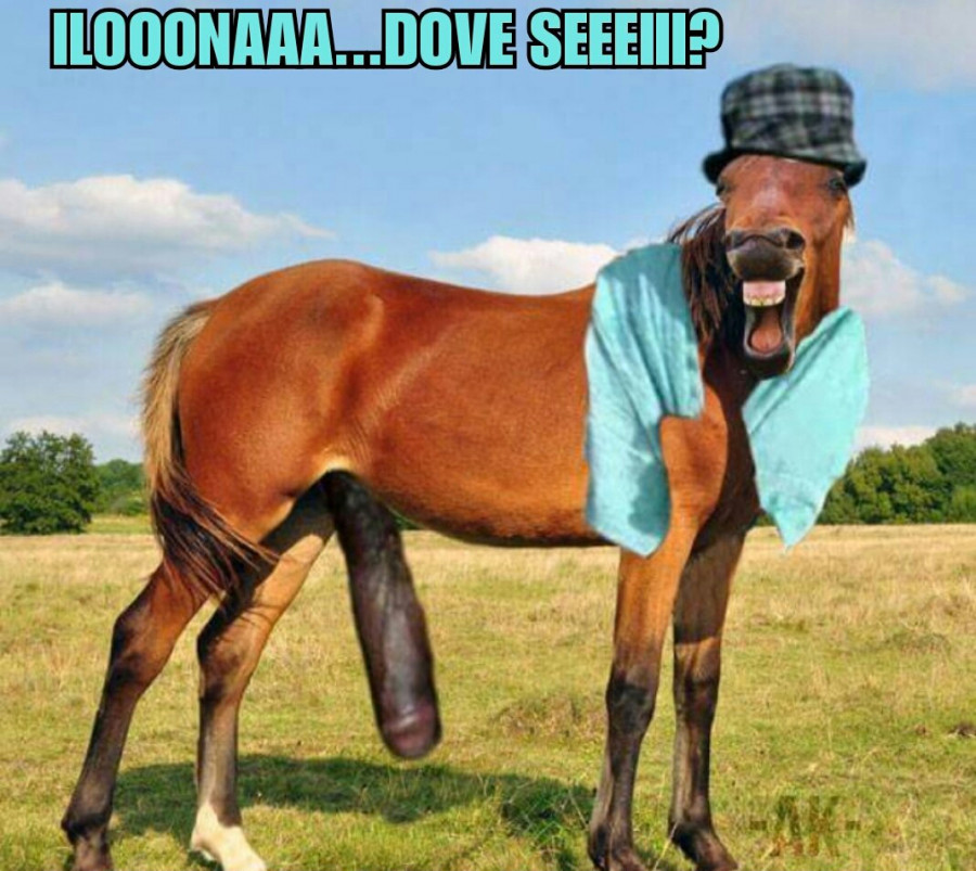 Cavallo del negro di whatsapp