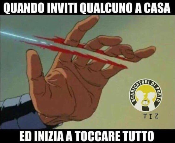 Vaccata