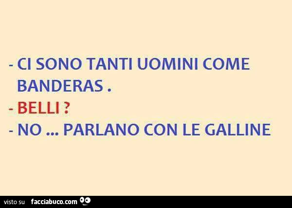 Ci sono tanti uomini come Banderas. Belli? No&hellip; parlano con le galline