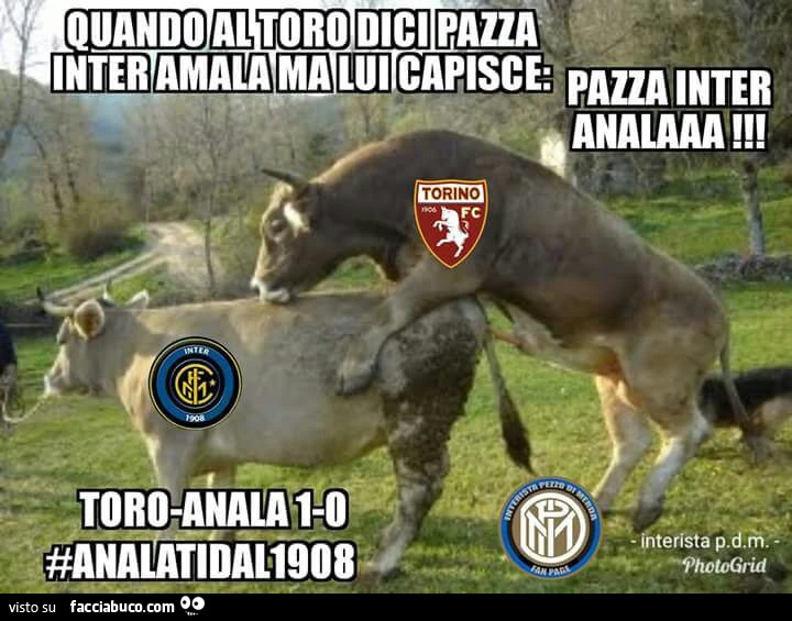 Quando al toro dici pazza inter amala ma lui capisce: pazza inter anala