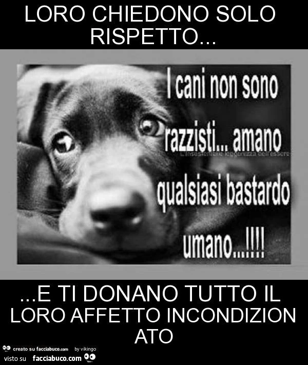 Loro chiedono solo rispetto&hellip; e ti donano tutto il loro affetto incondizionato