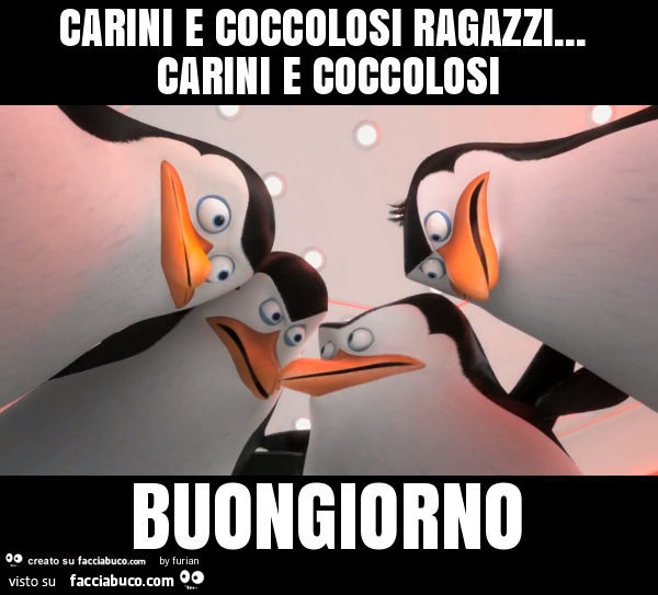 Carini e coccolosi ragazzi… carini e coccolosi buongiorno