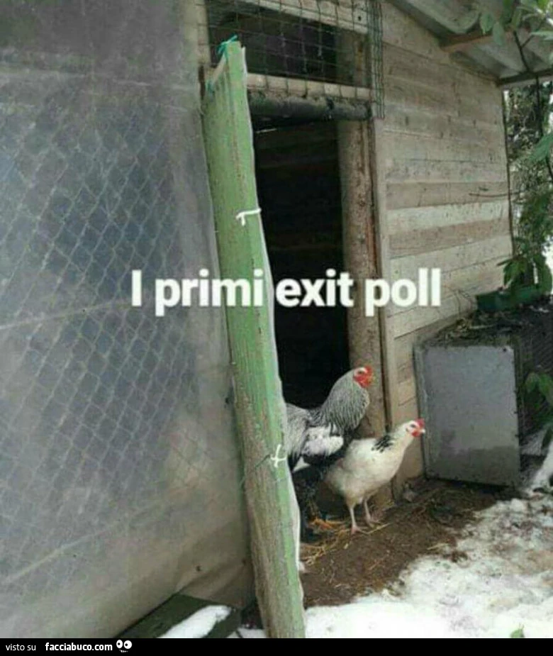 I primi exit poll
