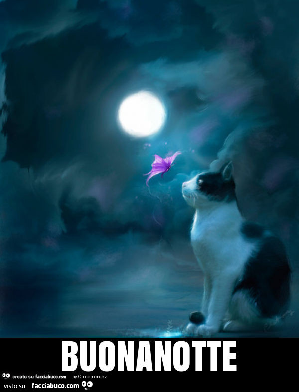 Buonanotte
