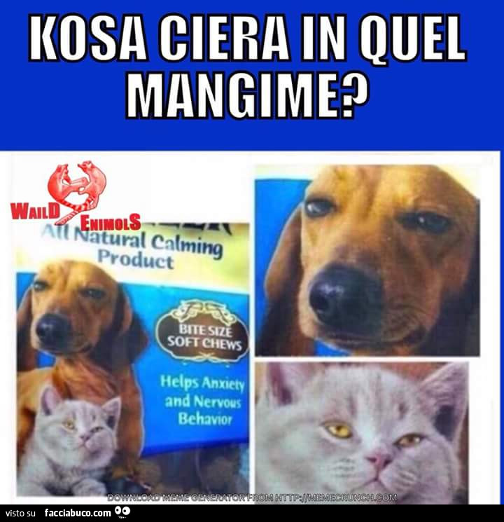 Kosa ciera in quel mangime?