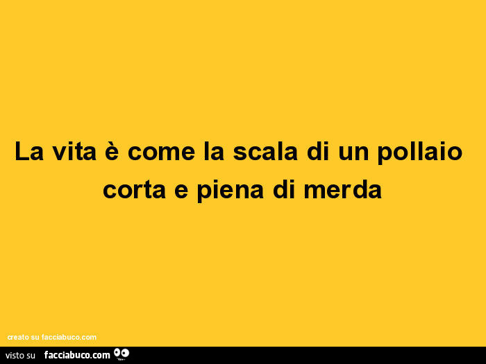 La vita è come la scala di un pollaio corta e piena di merda