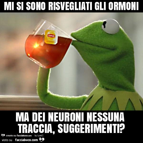 Mi si sono risvegliati gli ormoni ma dei neuroni nessuna traccia, suggerimenti?