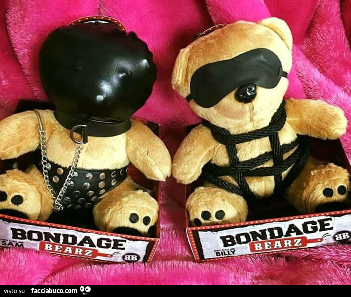 Orsacchiotti bondage sadomaso