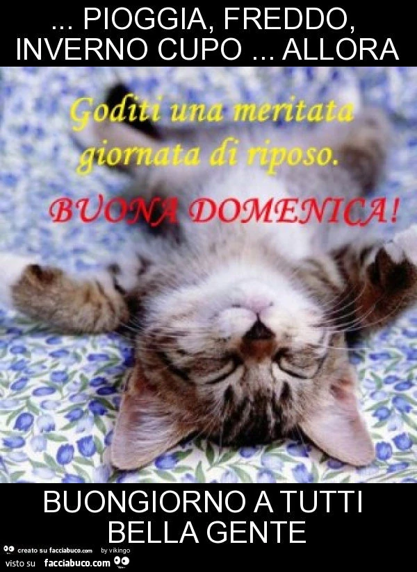 Pioggia, freddo, inverno cupo… allora buongiorno a tutti bella gente
