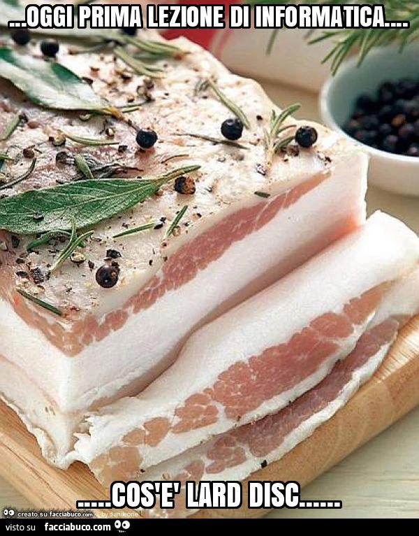 Oggi prima lezione di informatica&hellip; cos'è lard disc