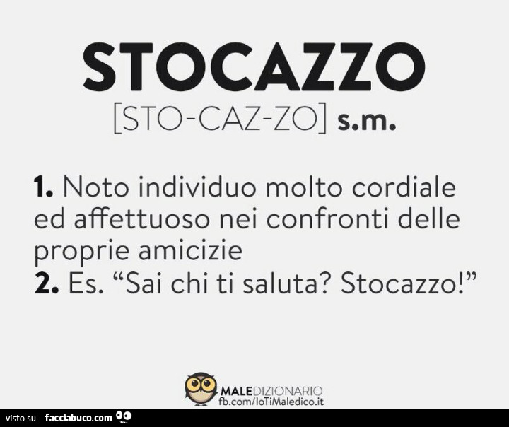 Stocazzo: noto individuo molto socievole ed ossequioso verso le proprie amicizie. Es. Sai chi ti saluta? Stocazzo