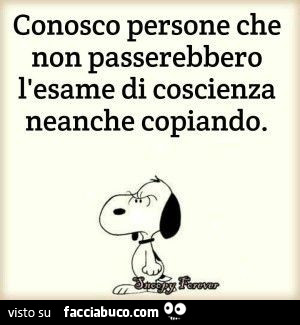 Conosco persone che non passerebbero l'esame di coscienza neanche copiando