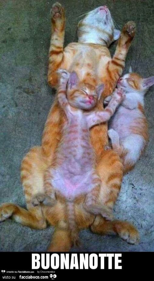 Buonanotte
