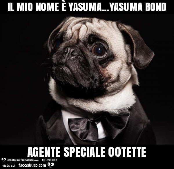 Il mio nome è yasuma… yasuma bond agente speciale 00tette