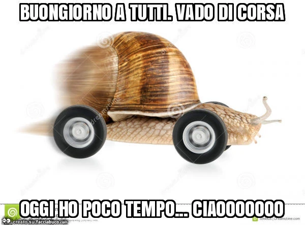 Buongiorno a tutti. Vado di corsa oggi ho poco tempo&hellip; ciaooooooo