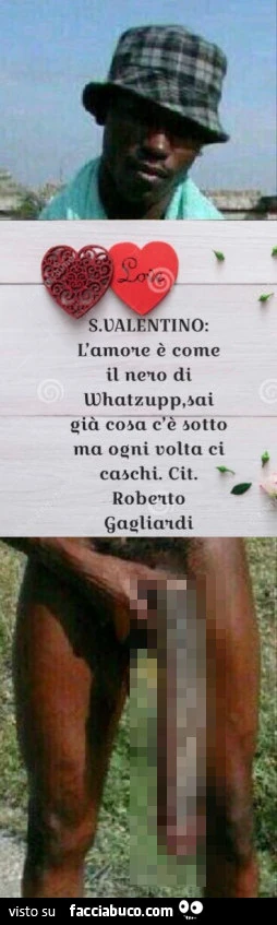 Vaccata