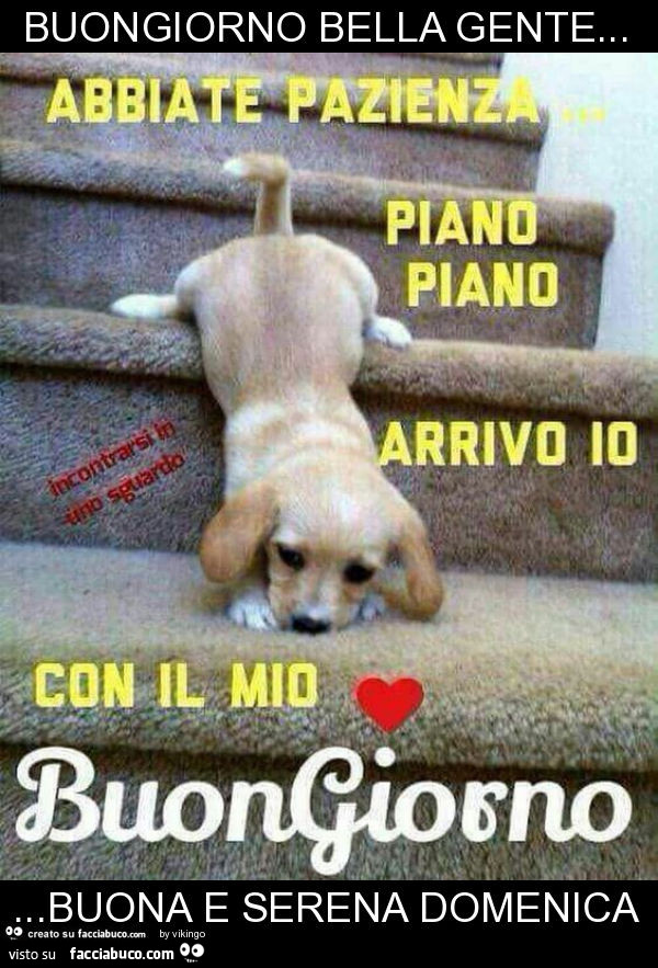 Buongiorno Bella Gente Buona E Serena Domenica Facciabuco Com