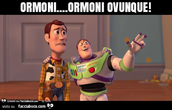 Ormoni&hellip; ormoni ovunque