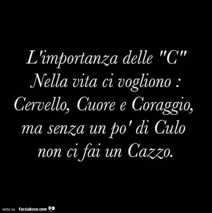 L'importanza delle c. Nella vita ci vogliono: cervello, cuore e coraggio, ma senza un po ' di culo non ci fai un cazzo