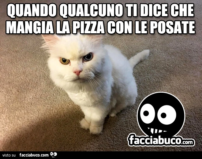 Quando qualcuno ti dice che mangia la pizza con le posate