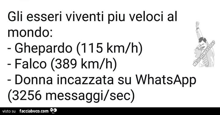 Gli Esseri Viventi Piu Veloci Al Mondo Ghepardo 115 Km H Falco 389 Km H Donna Condiviso Da Potiomkin Facciabuco Com