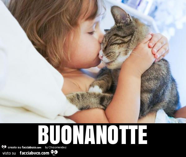 Buonanotte